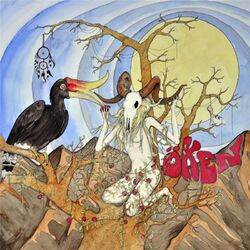 Cover of Öken