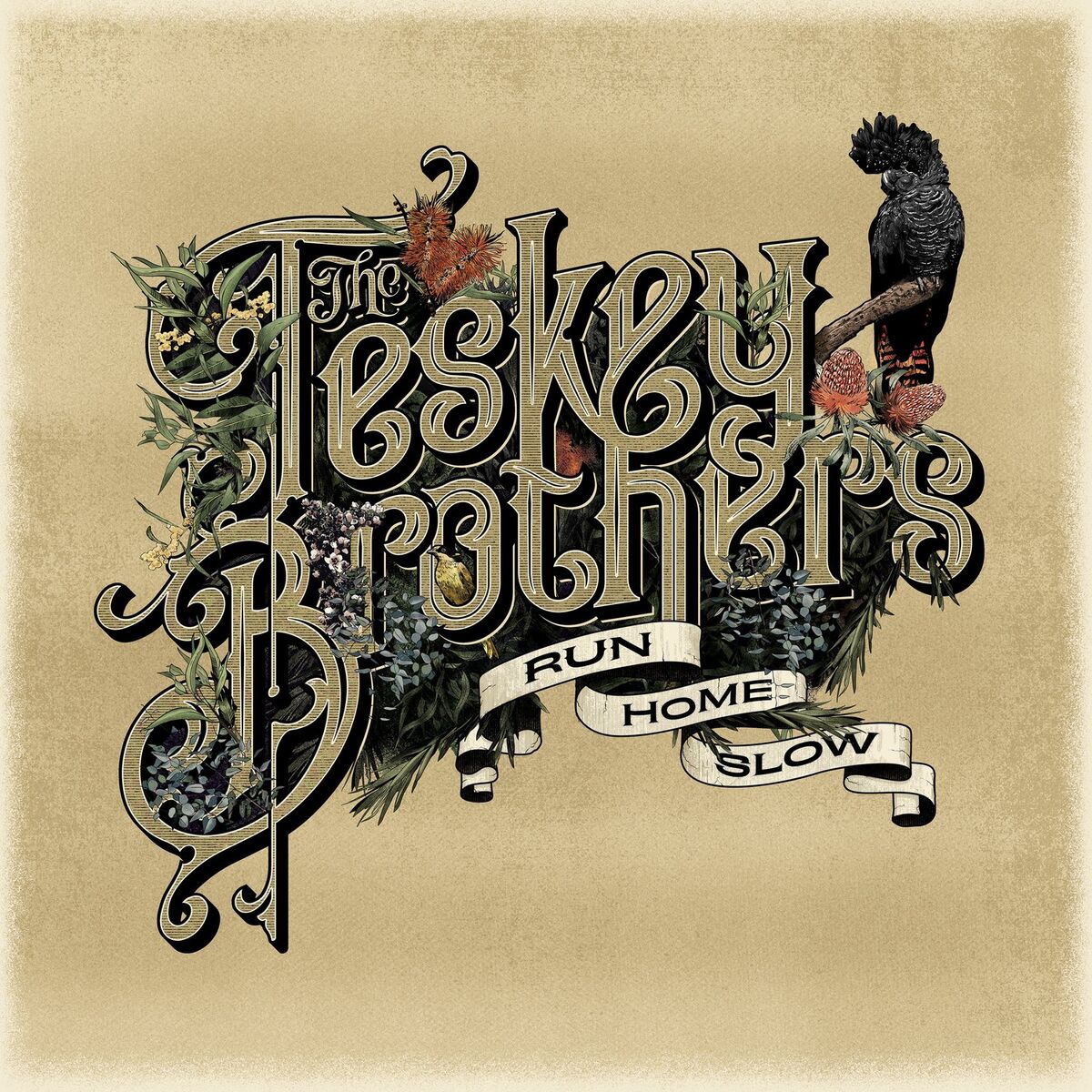 Album cover of Hold Me