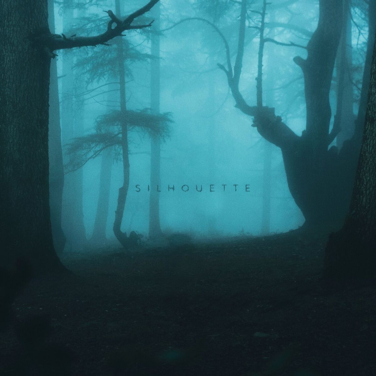 Album cover of Silhouette