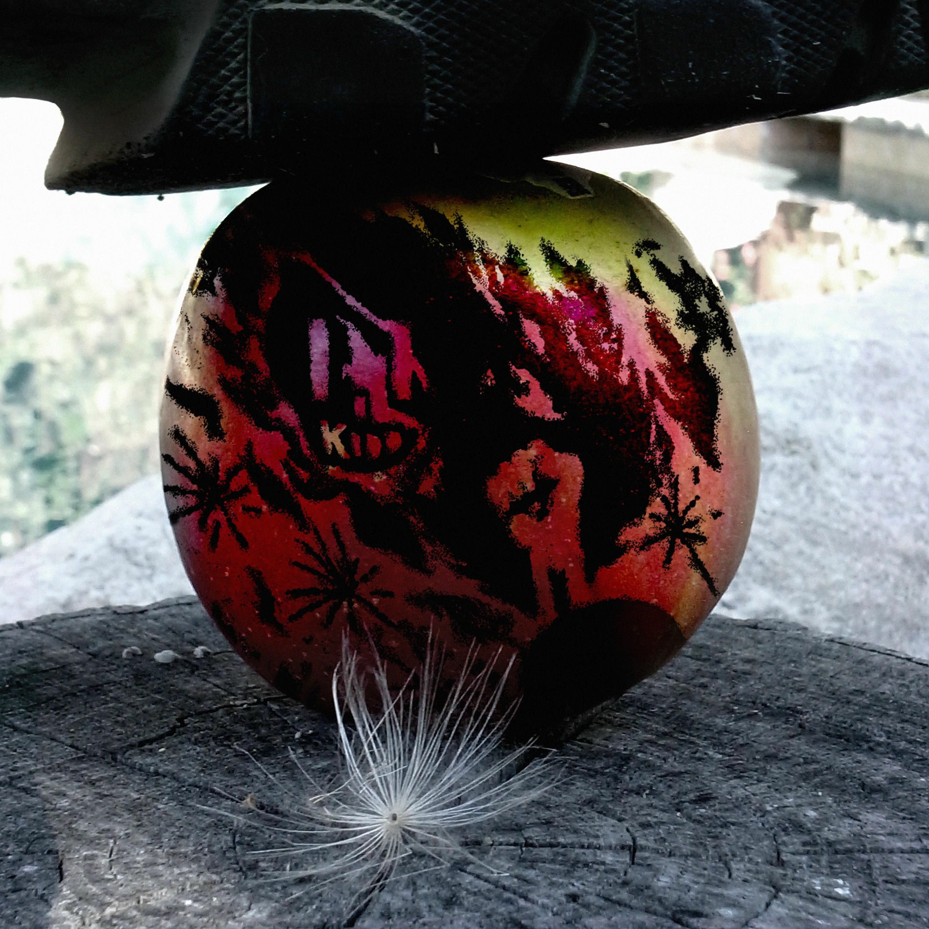 Album cover of Kidd