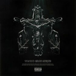 Cover of Non sai niente