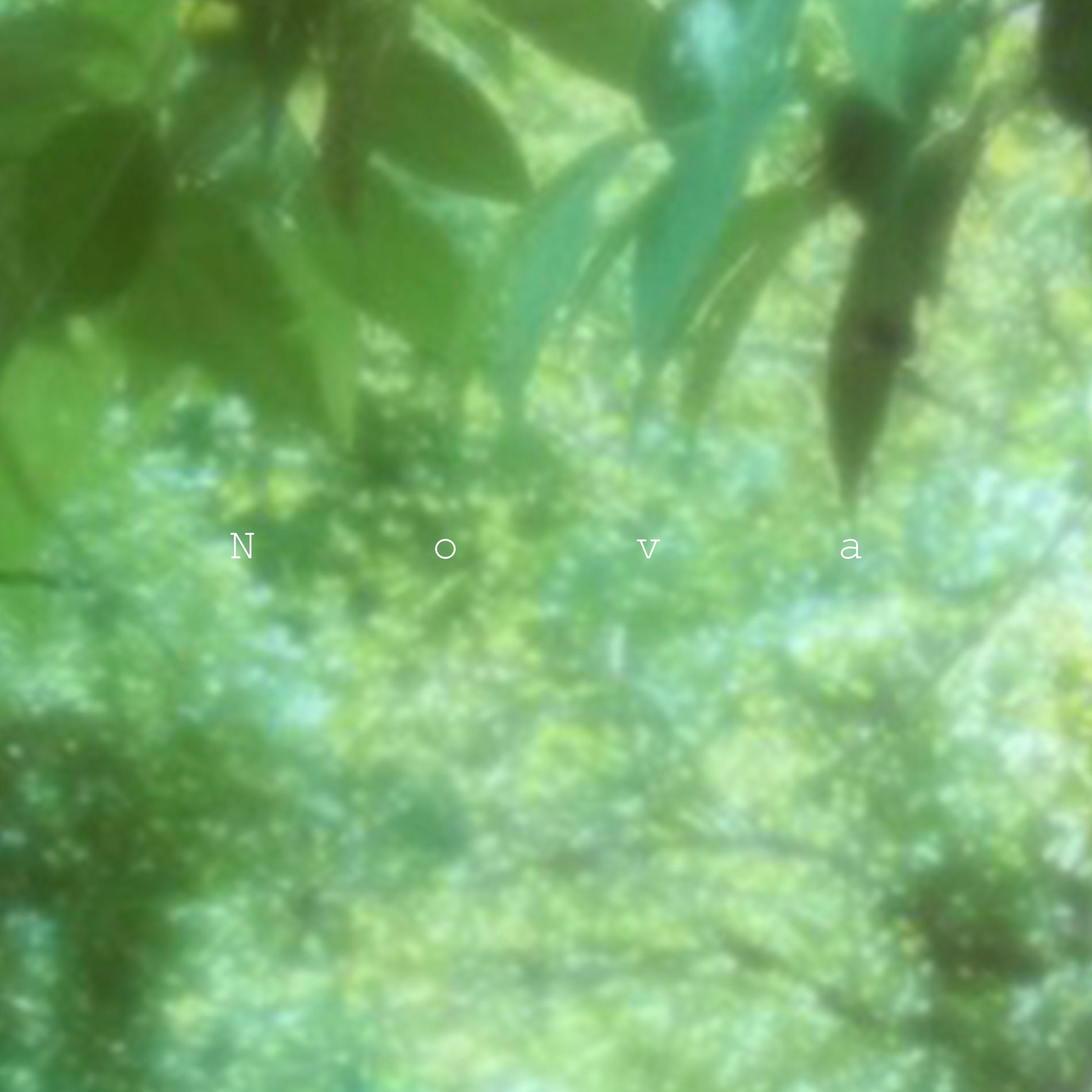 Album cover of Nova