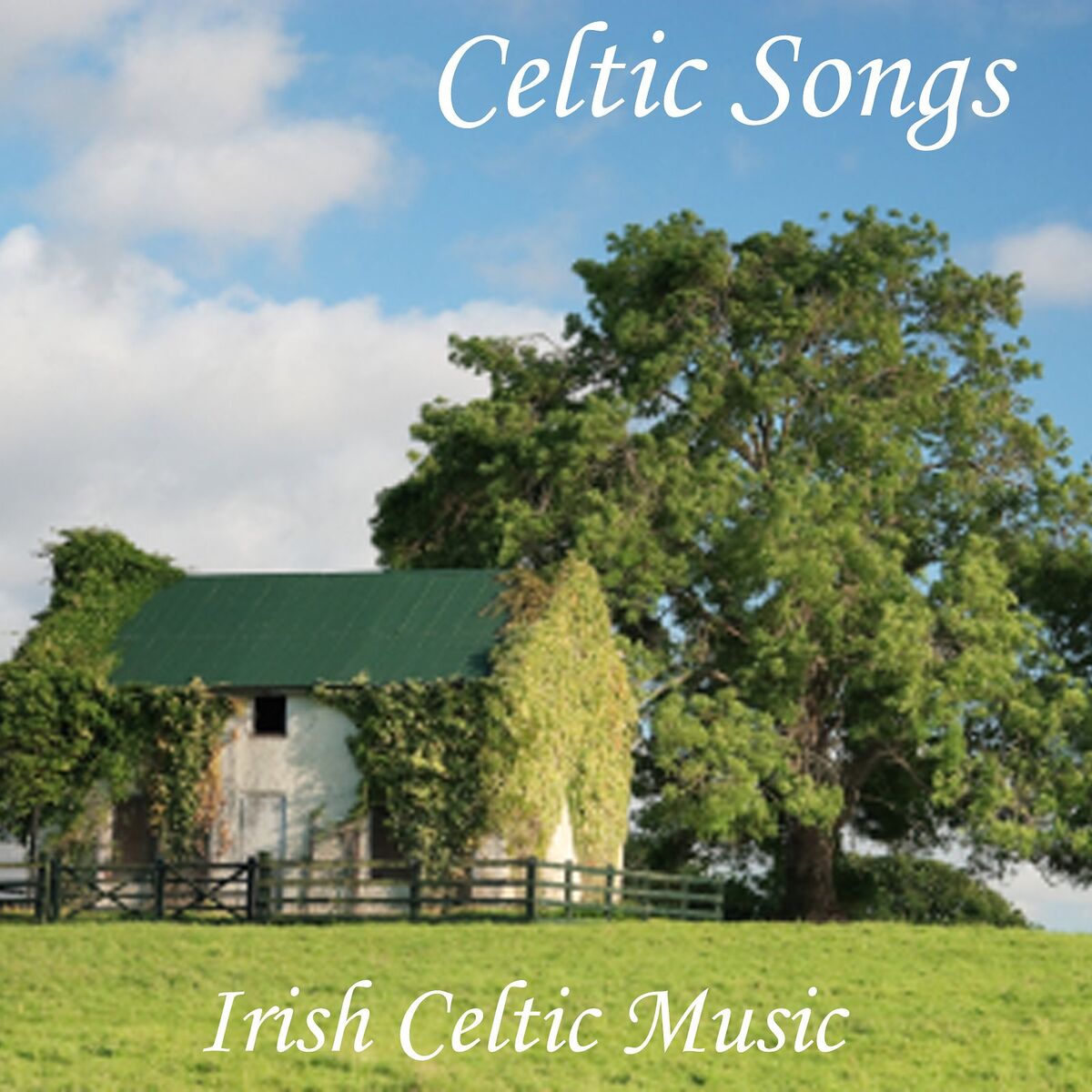 Album cover of Summer Nights