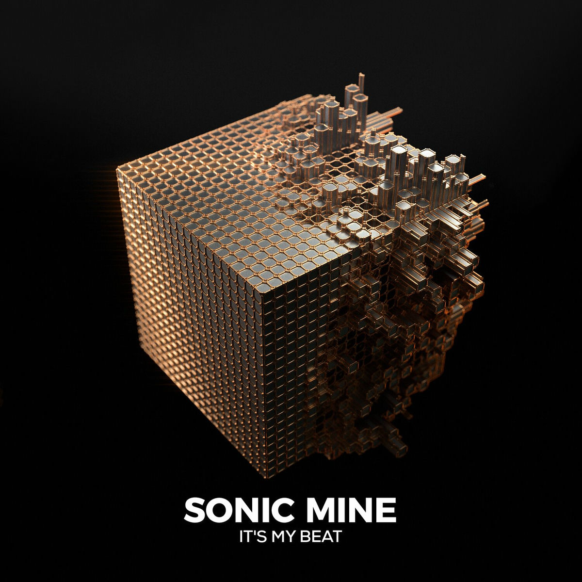 Album cover of Its My Beat
