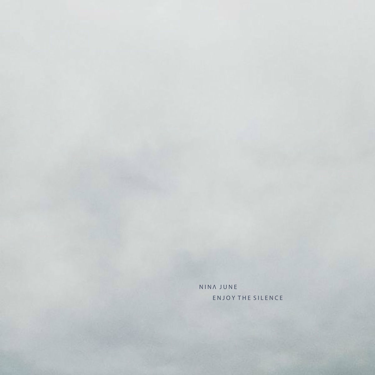 Album cover of Enjoy the Silence