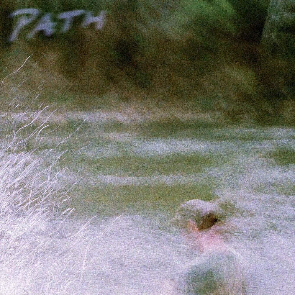 Picture of Path