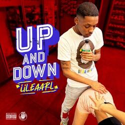 Cover of Up and Down
