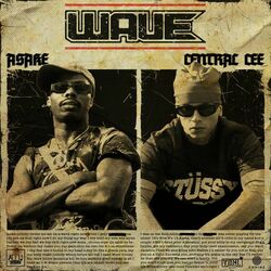 Cover of Wave