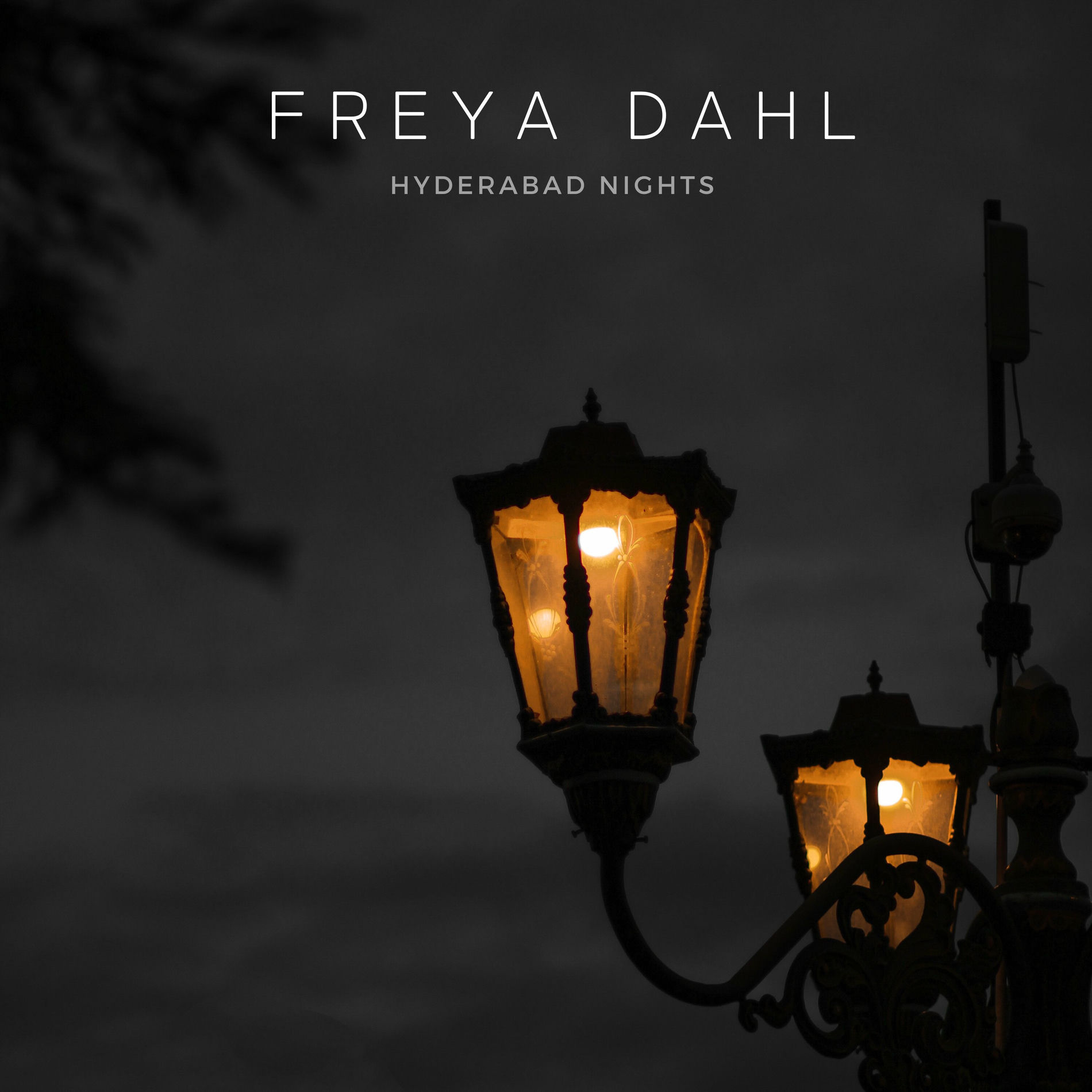 Album cover of Hyderabad Nights