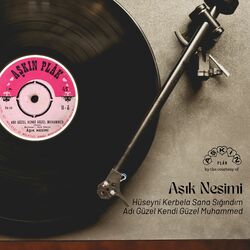 Cover of Hüseyni Kerbela Sana Sığındım / Adı Güzel Kendi Güzel Muhammed