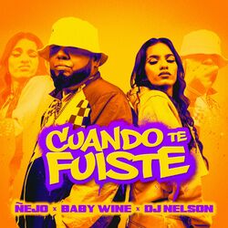 Cover of Cuando Te Fuiste