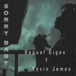 Cover of Sorry Baby
