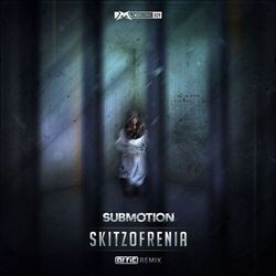 Cover of Skitzofrenia