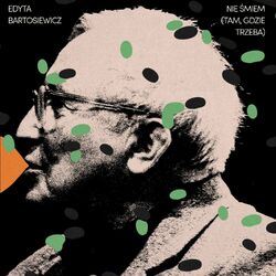 Cover of Nie śmiem (tam, gdzie trzeba)