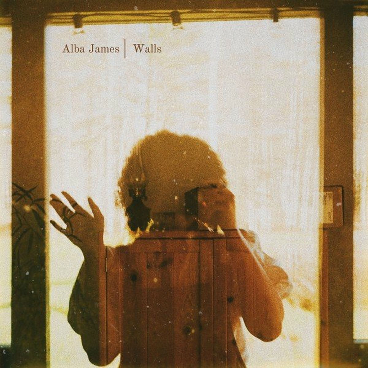 Album cover of Walls