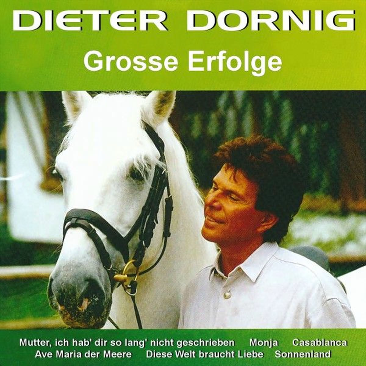 Album cover of Grosse Erfolge