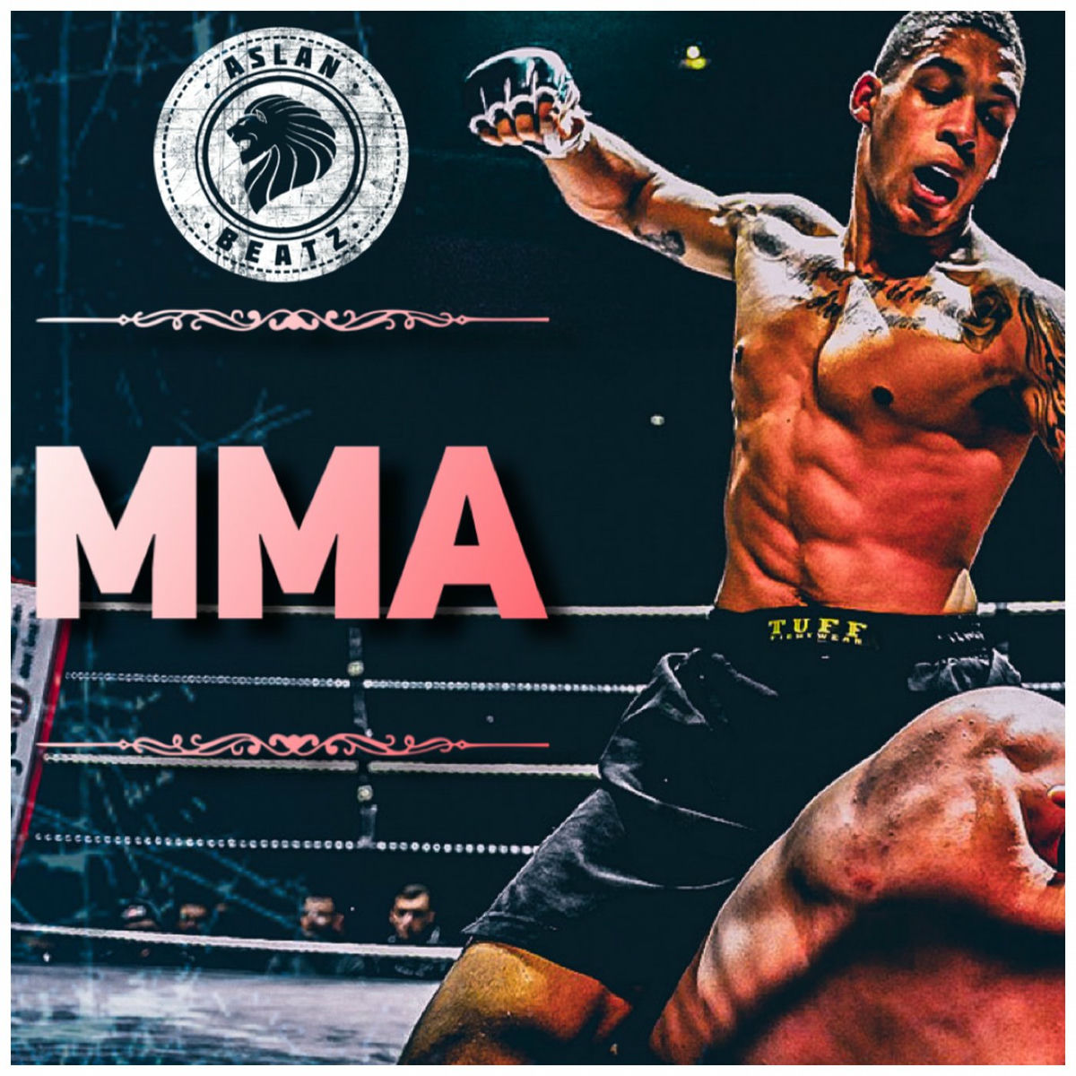 Album cover of MMA