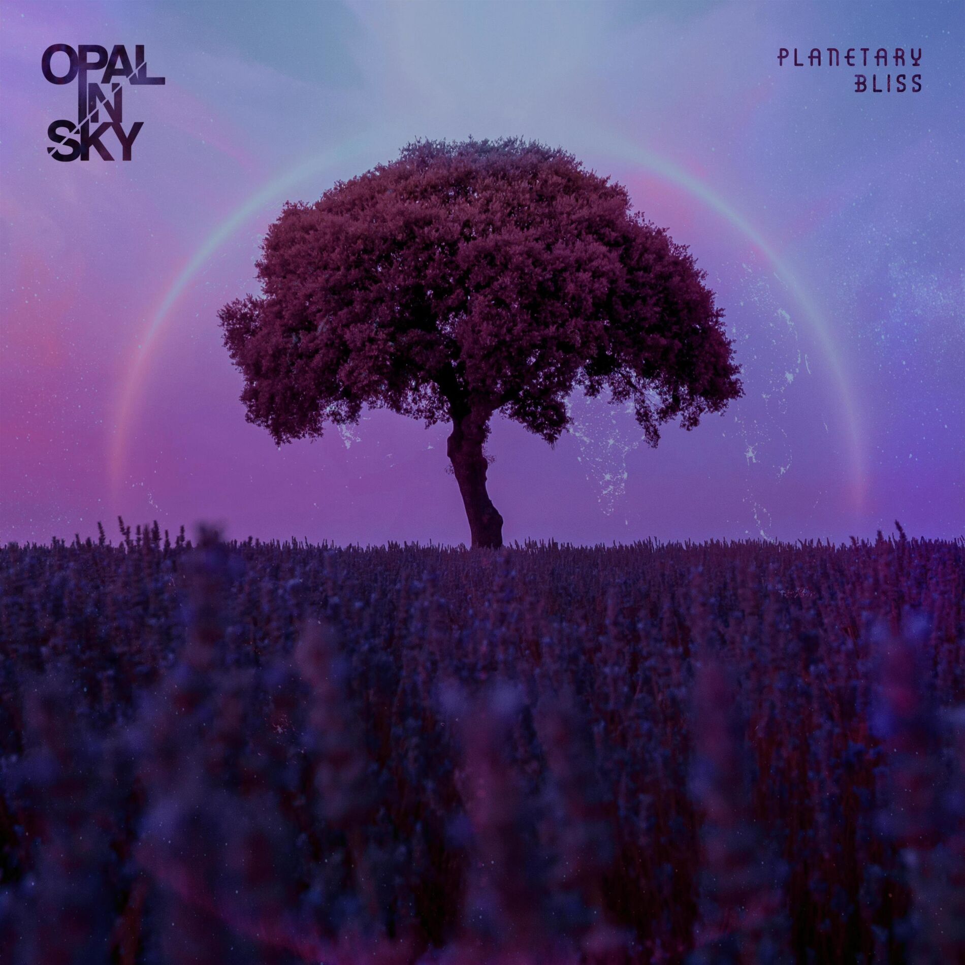 Album cover of Planetary Bliss