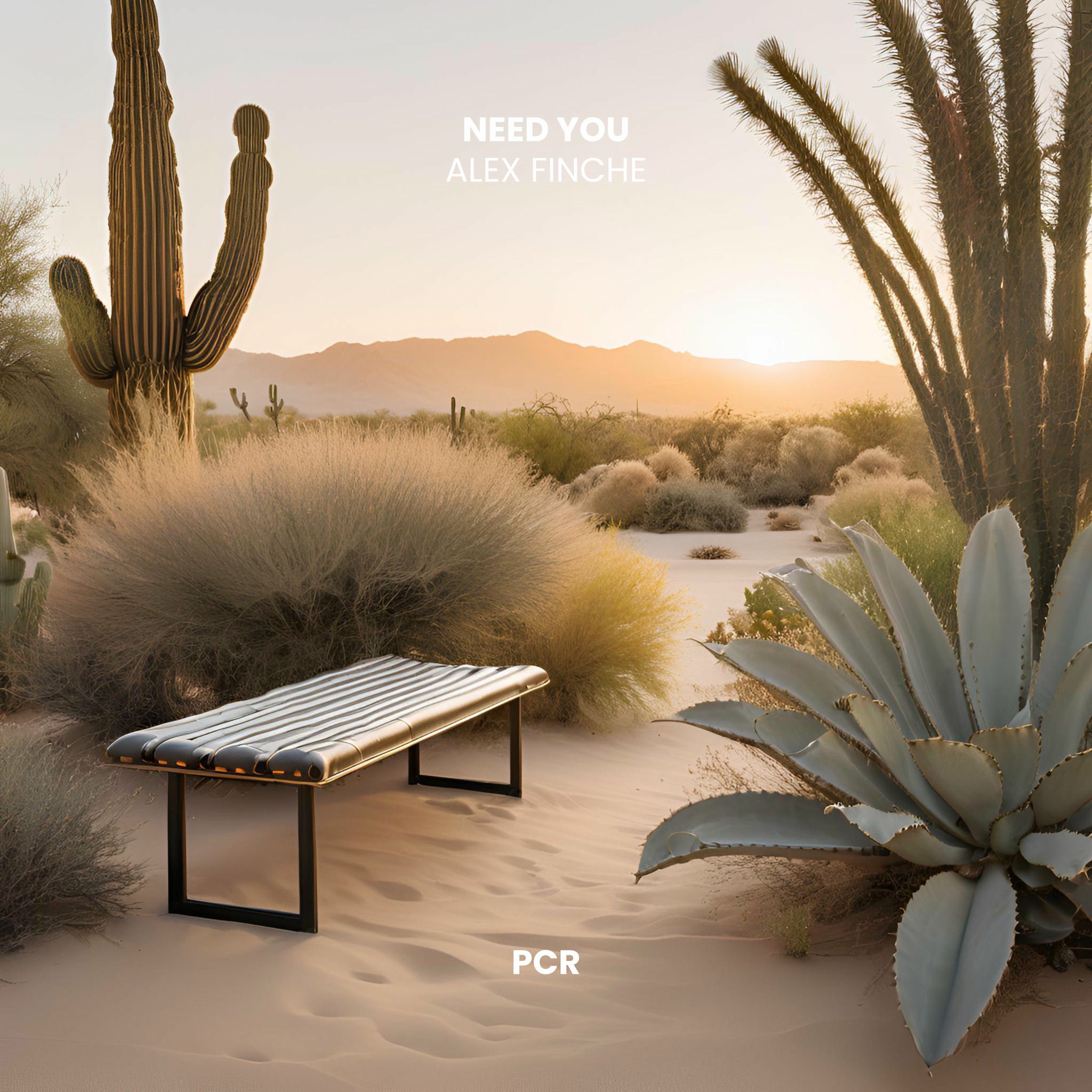 Album cover of Need You