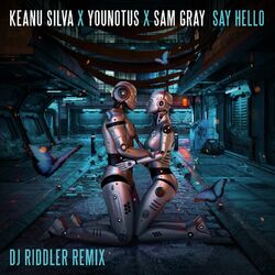 Cover of Say Hello (DJ Riddler Mix)