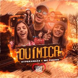 Cover of Química