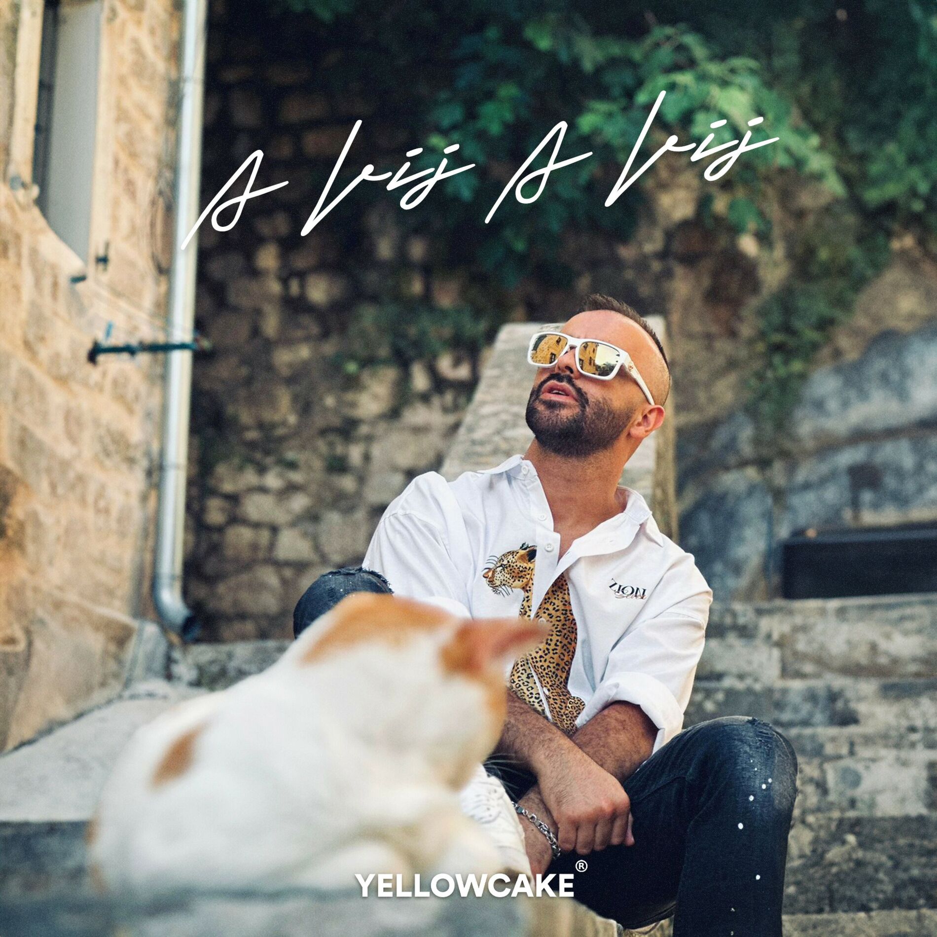 Album cover of A VIJ A VIJ