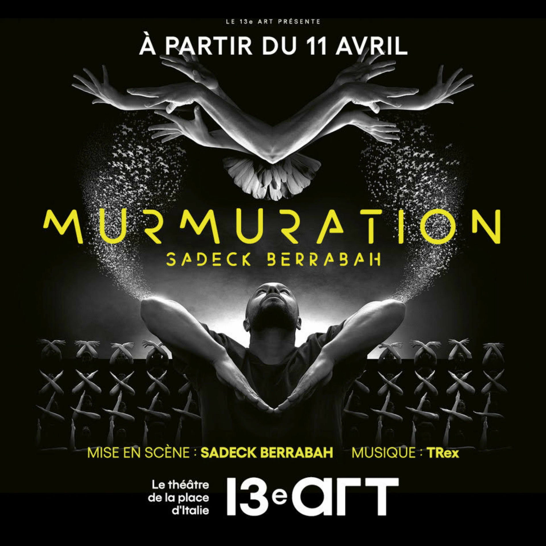 Album cover of MURMURATION (Bande Son Originale du spectacle)