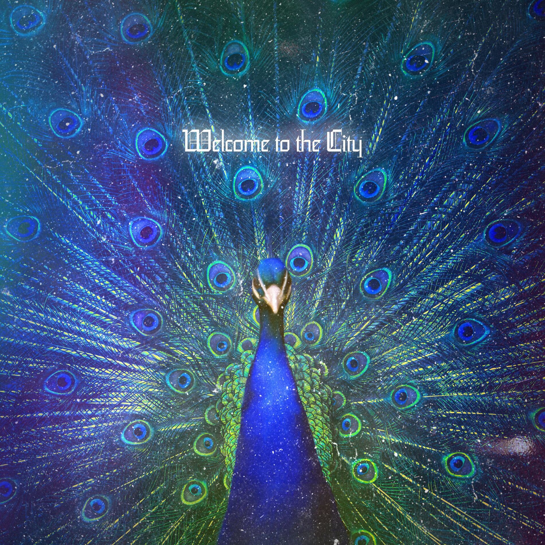 Album cover of Welcome To The City