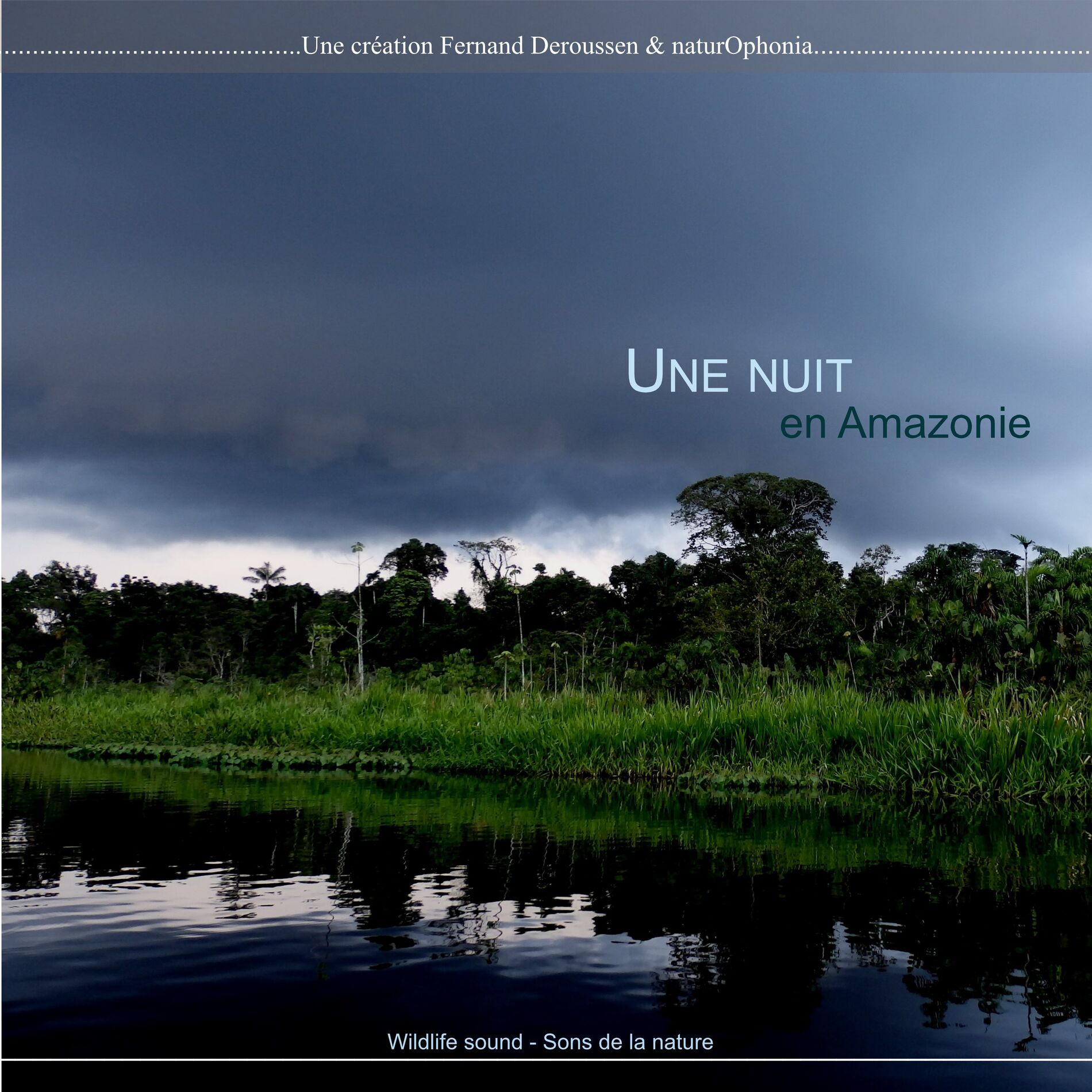 Album cover of Naturophonia: Une nuit en Amazonie