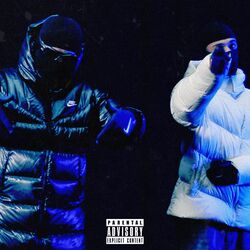 Cover of DMX