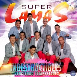 Cover of Indestructibles Venciendo Tempestades