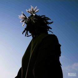 Cover of LA VIE AU CALME