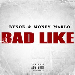 Cover of Bad Like