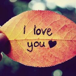 Cover of I Love You