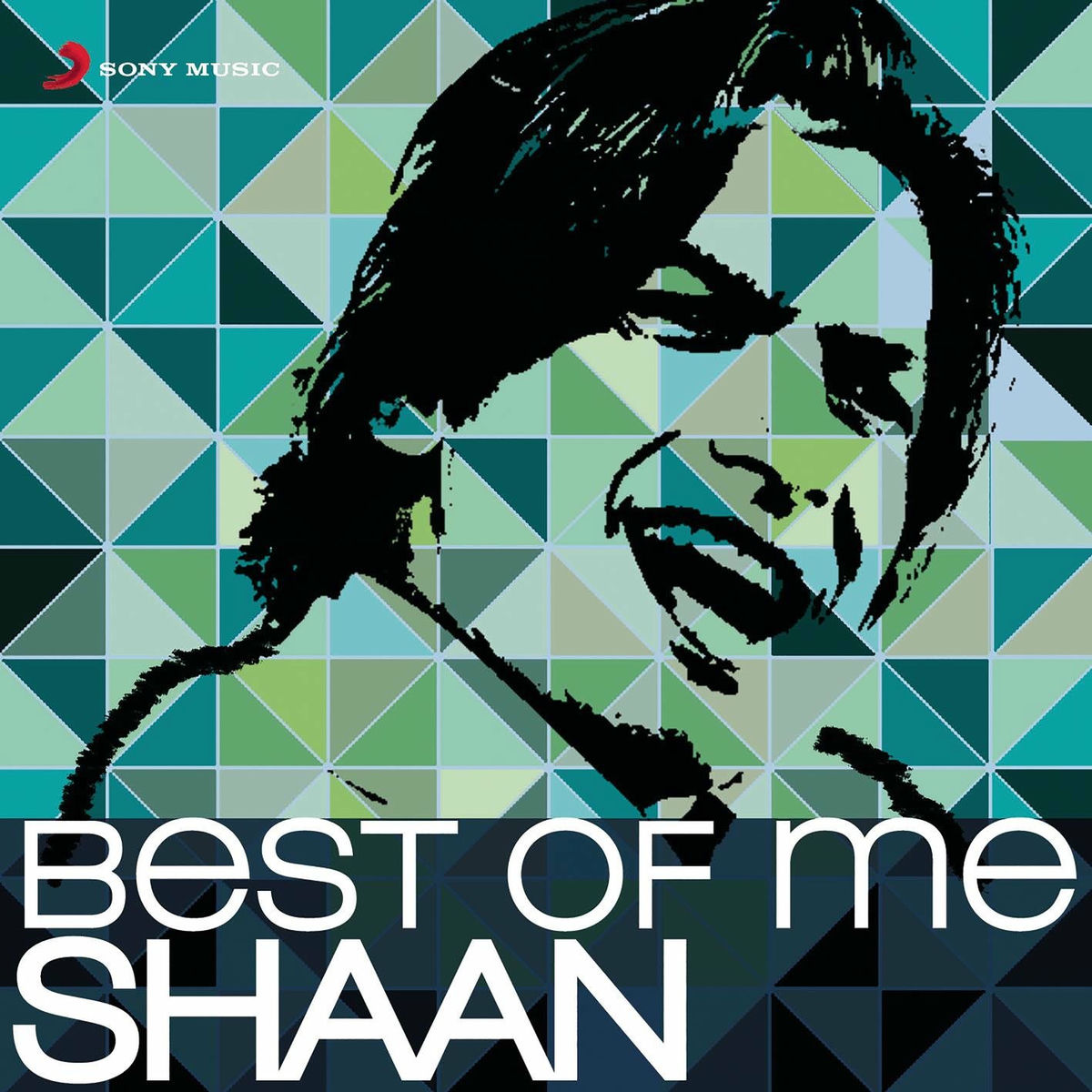 Album cover of Best of Me Shaan