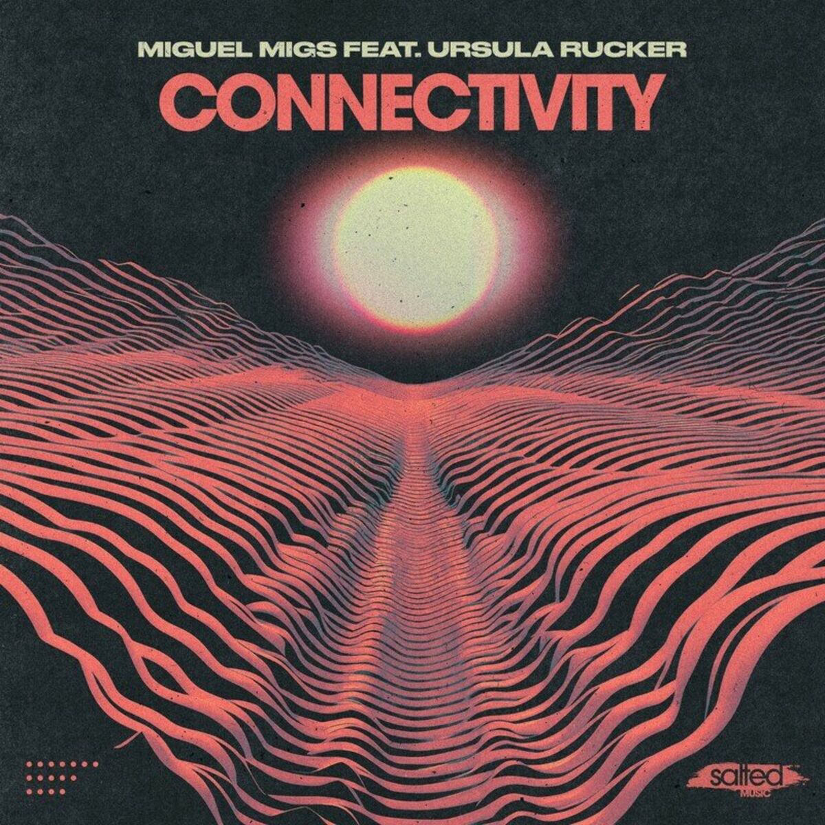 Album cover of Connectivity