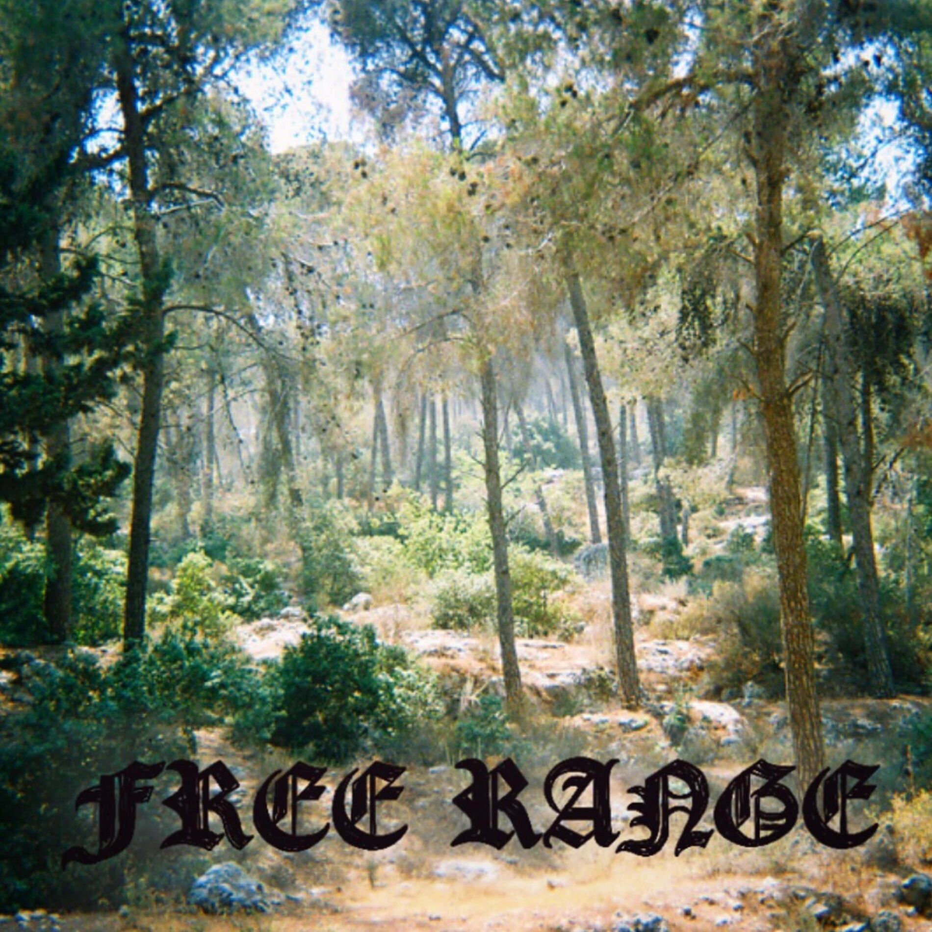 Album cover of Free Range