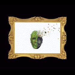 Cover of Lv - Florescer by undefined