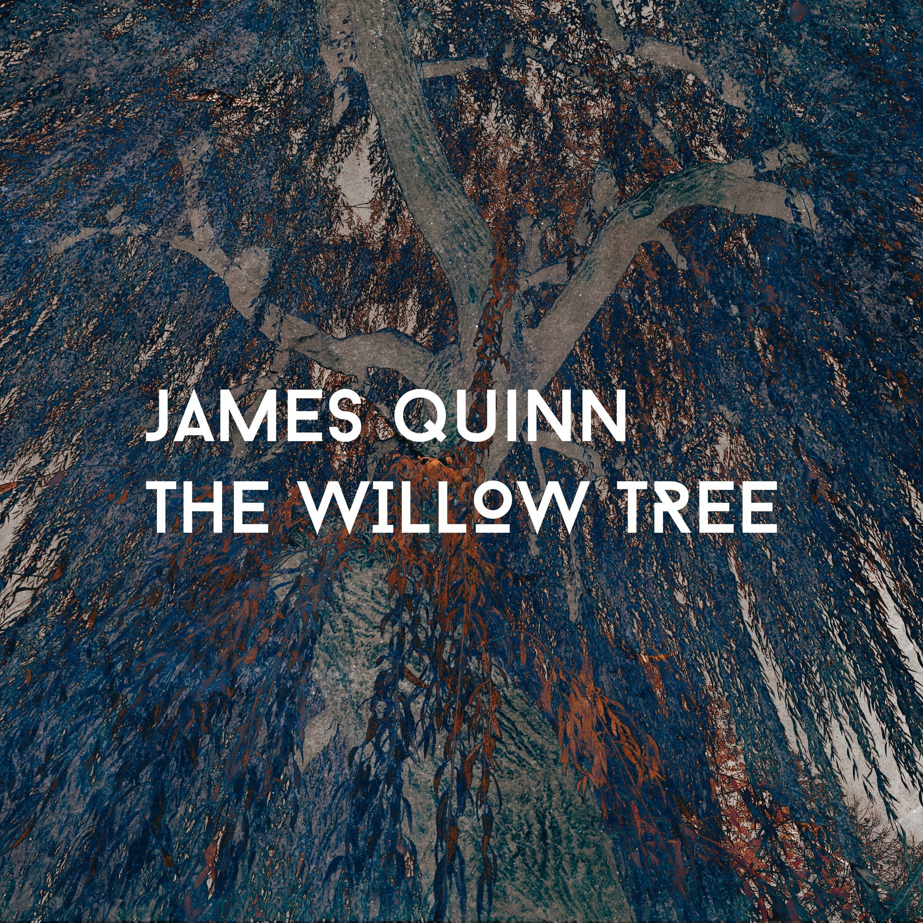 Album cover of The Willow Tree