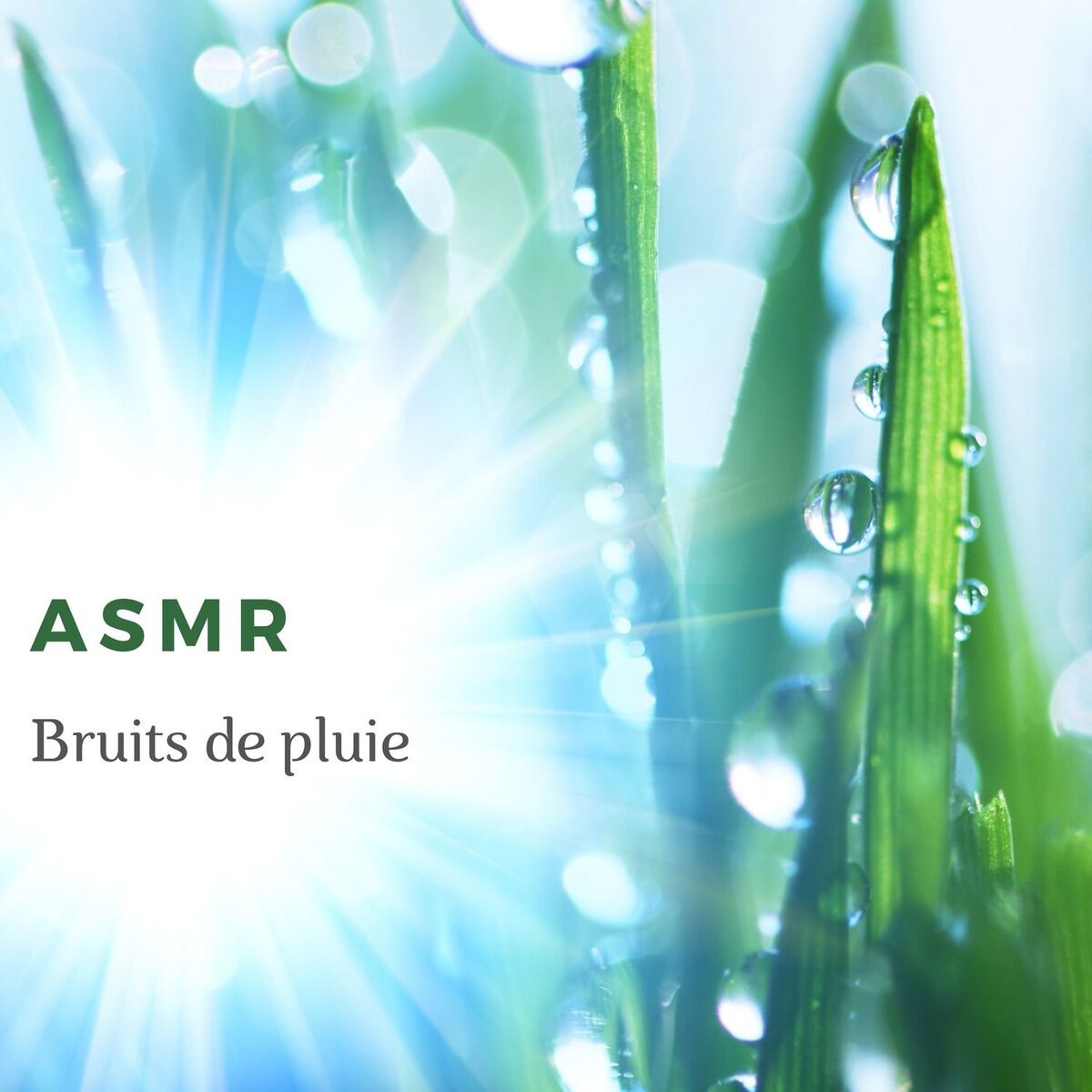 Album cover of ASMR Bruits de pluie: Soulagement du stress, Dormir, Méditation ou étude