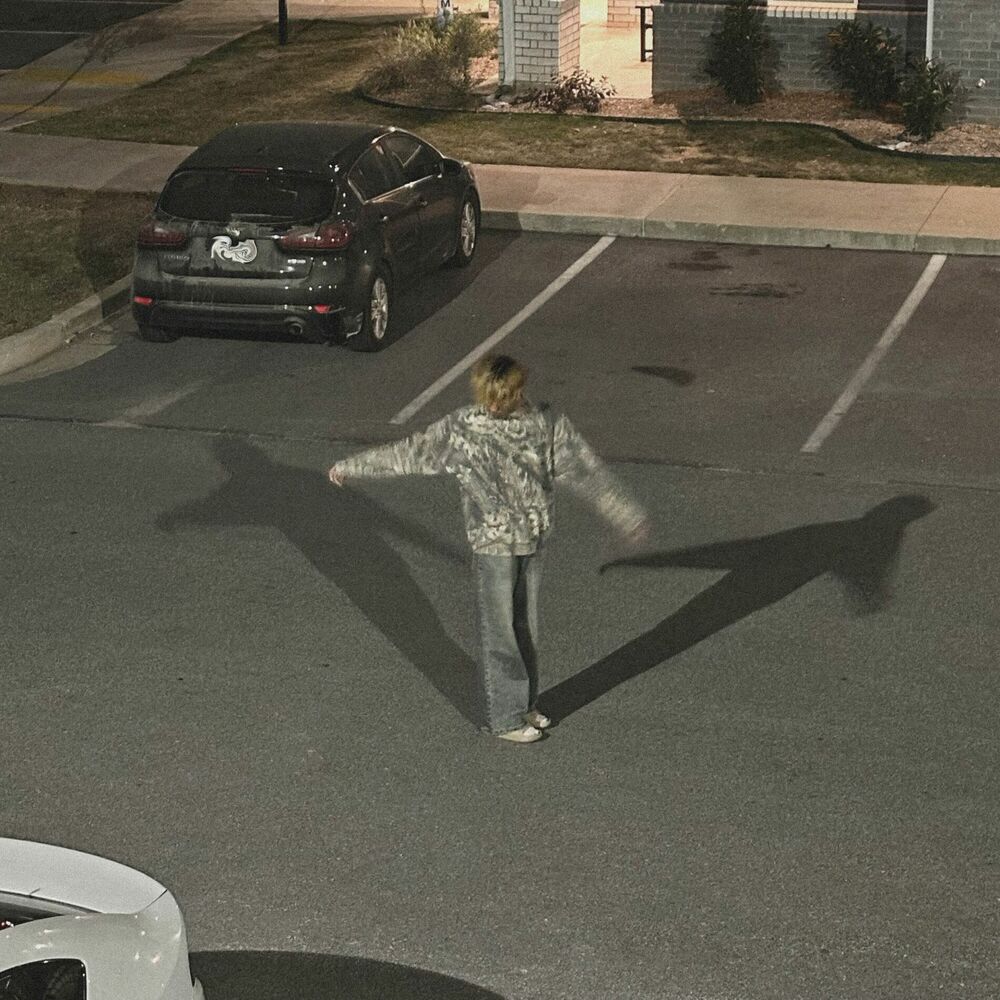 Picture of insane