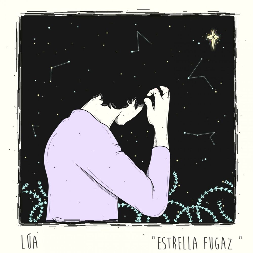 Picture of Estrella Fugaz