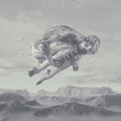 Cover of Nailed Bodies