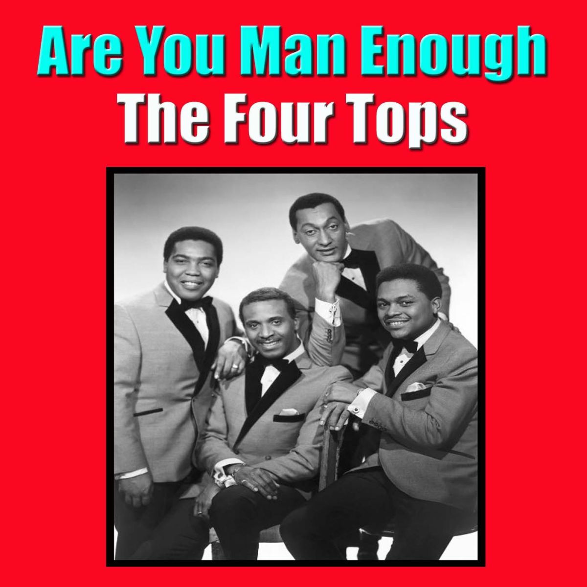 Album cover of Are You Man Enough