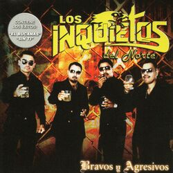 Cover of Bravos y Agresivos