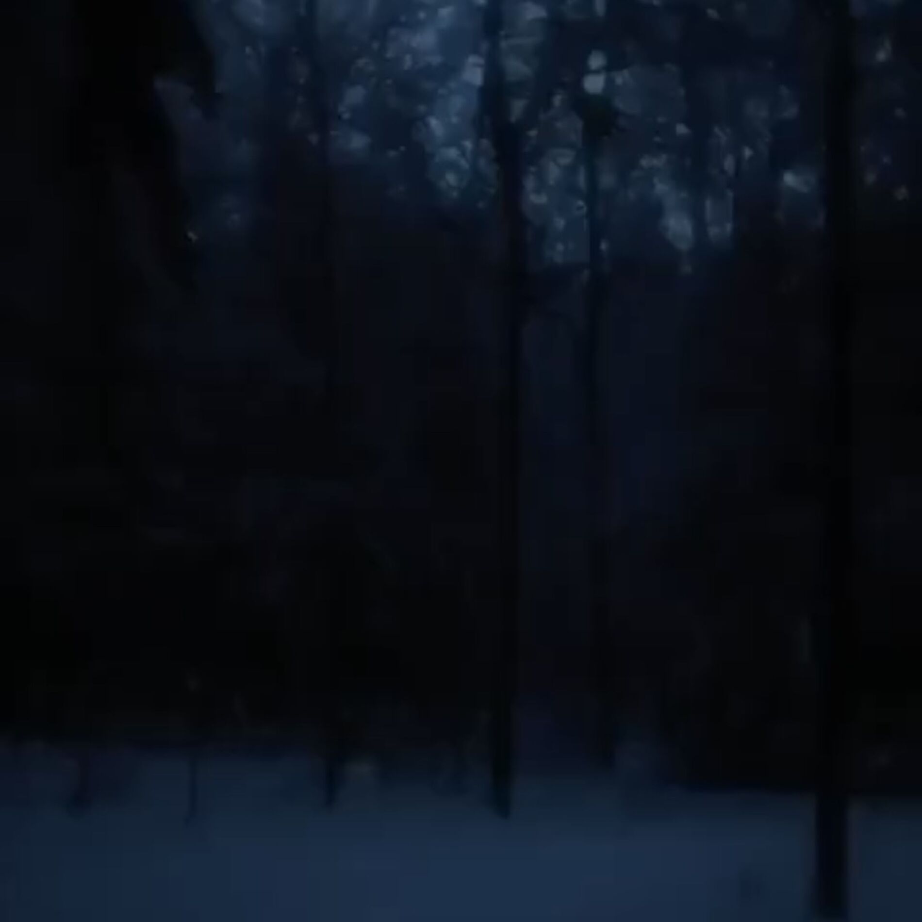 Album cover of dark snowy night
