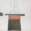 me & my bunnies (demo)