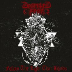 Cover of Follow the Light That Blinds