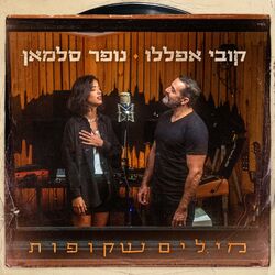 Cover of מילים שקופות