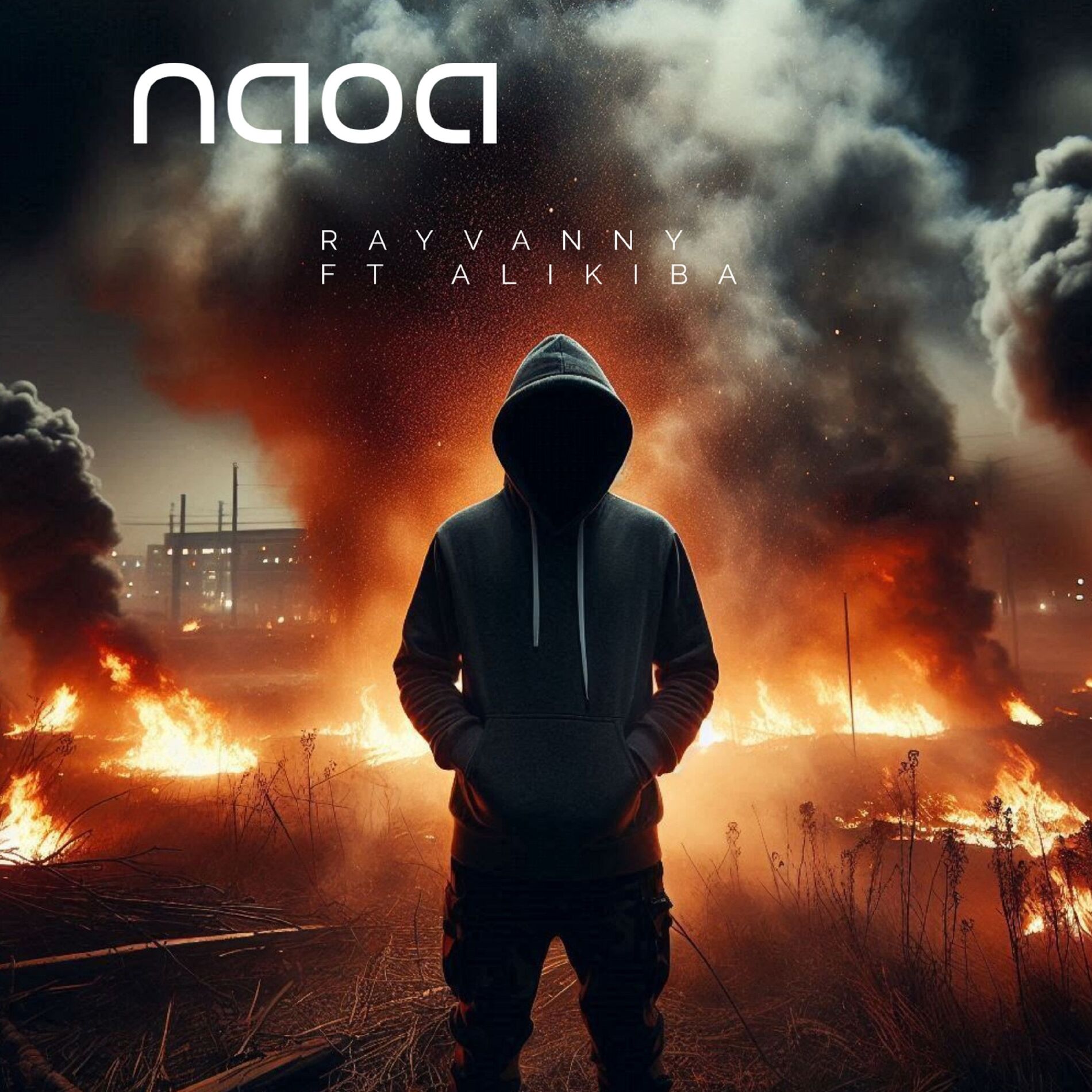 Album cover of NAOA